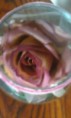/album/photo-gallery-homepage/a3d-jpg1/