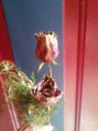 /album/photo-gallery-homepage/three-jpg/